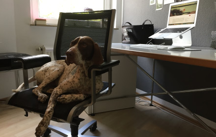 Unser Bürohund heißt Juli.

Foto: Initiative "Mensch Hund und"