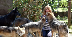 Brigitte Sommer mit Wölfen, Foto: Menschen für Wölfe