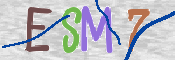 CAPTCHA-Bild