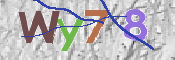 CAPTCHA-Bild