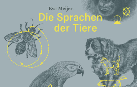 "Die Sprachen der Tiere" von Eva Meijer